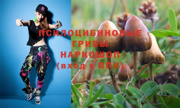 a pvp Алексеевка